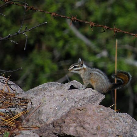 Cabanas Los Portales Barrancas Del Cobre Areponapuchi Екстер'єр фото