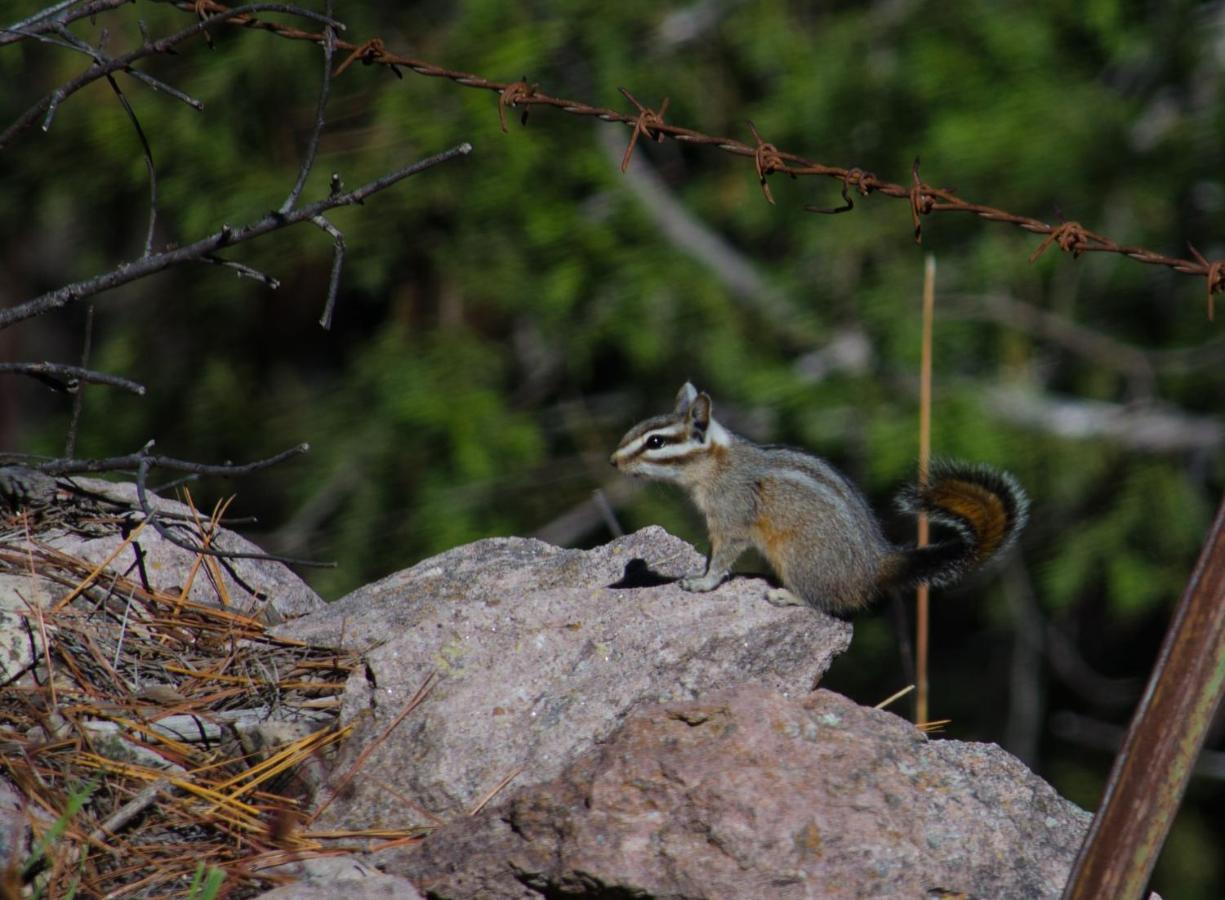 Cabanas Los Portales Barrancas Del Cobre Areponapuchi Екстер'єр фото